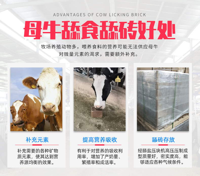 详情_03.jpg